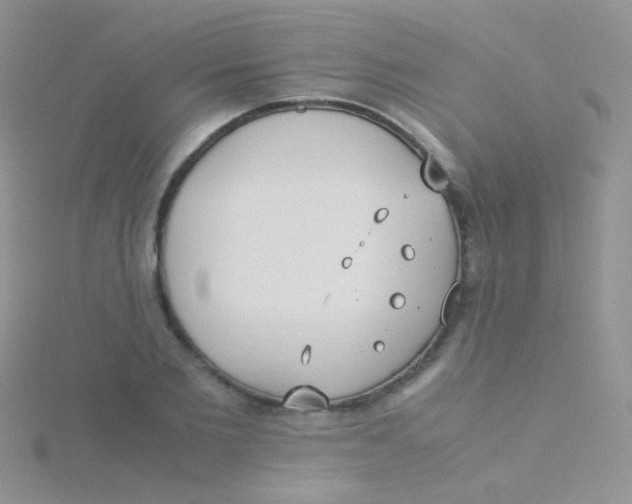 X0000115300885200911231307