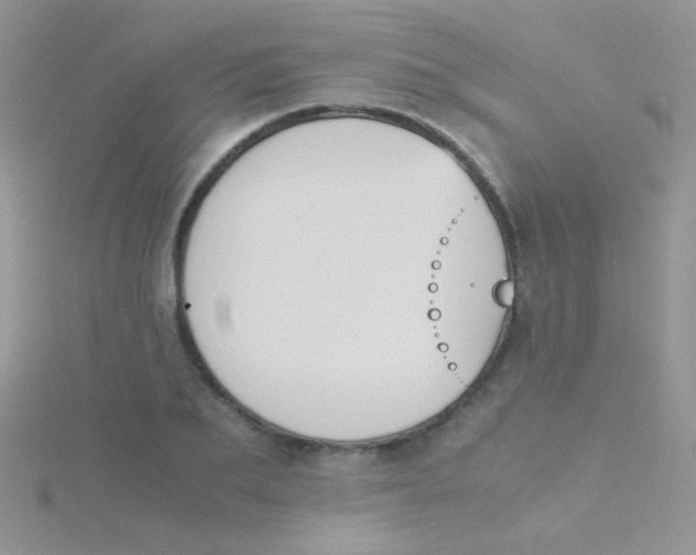 X0000115300887200911231307