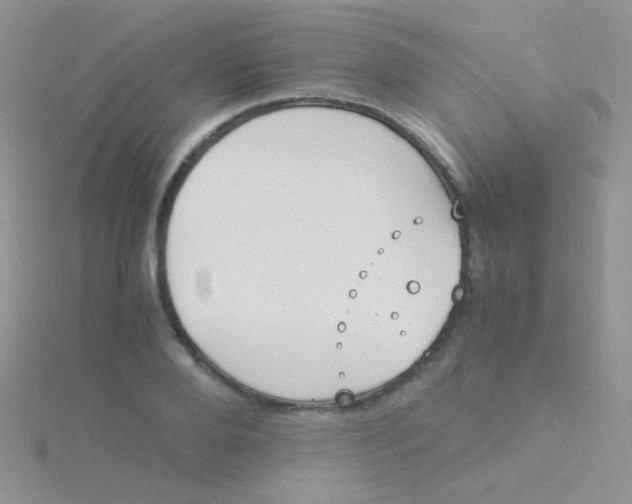 X0000115300888200911231307