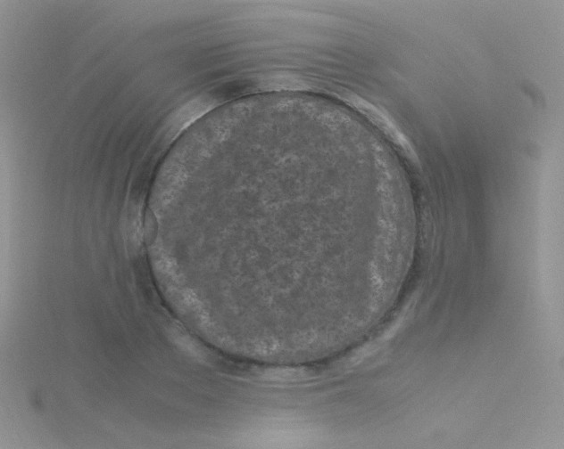 X0000115300889200911231307