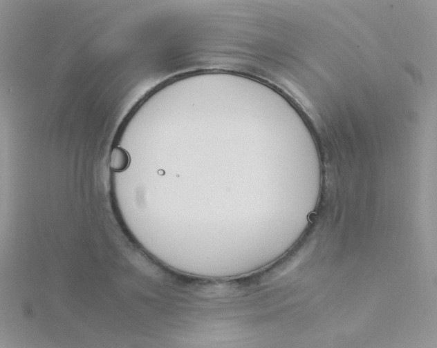 X0000115300891200911231307