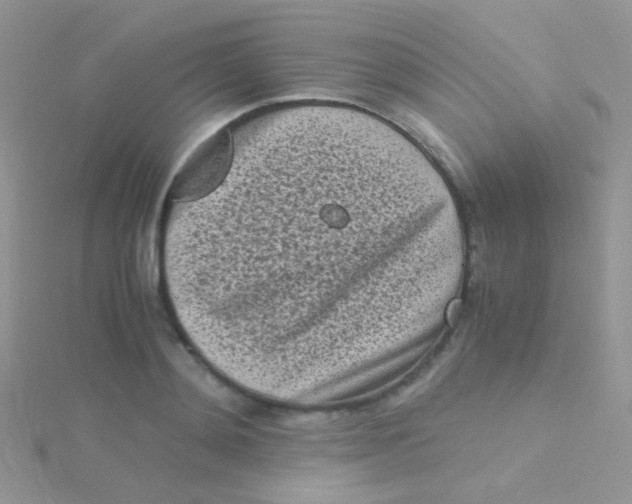 X0000115300892200911231307