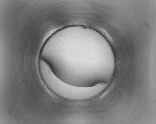 X0000115300893200911231307