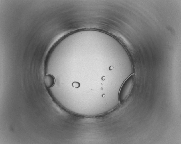 X0000115300894200911231307