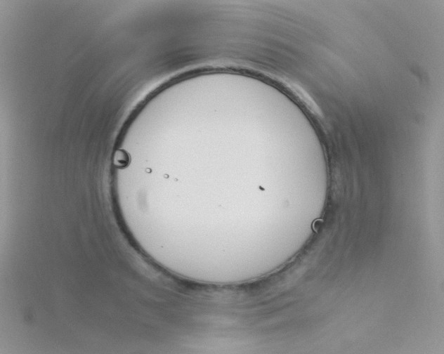 X0000115300895200911231307