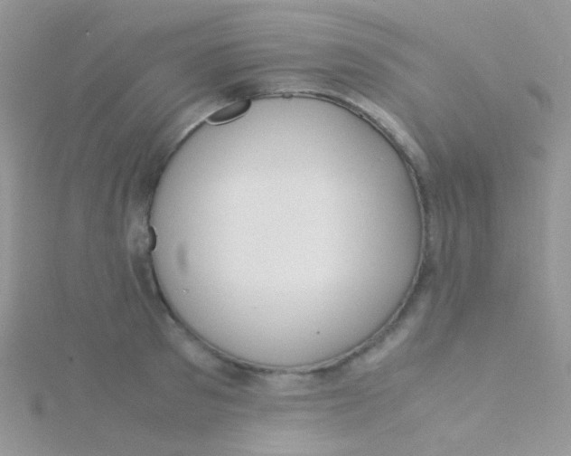 X0000115300897200911231307