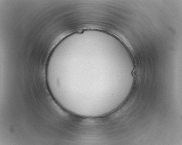 X0000115300898200911231307