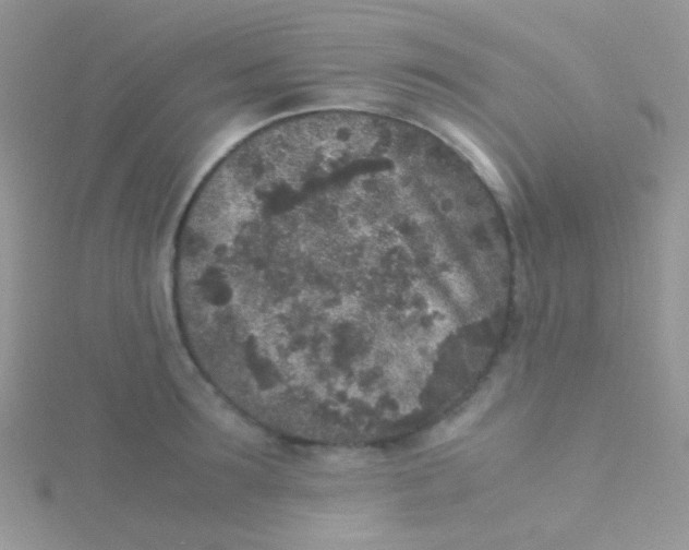 X0000115300899200911231307