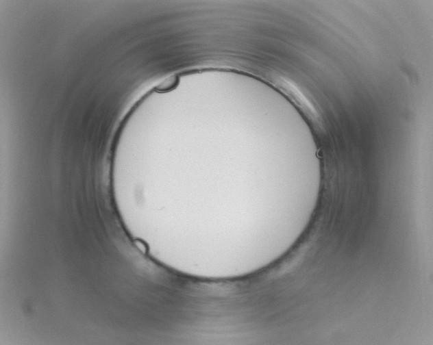 X0000115300900200911231307