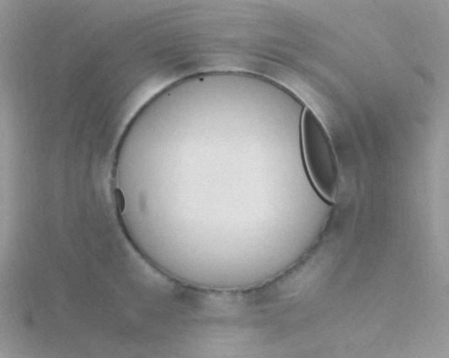 X0000115300901200911231307