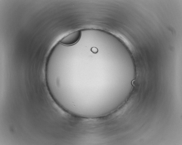 X0000115300902200911231307