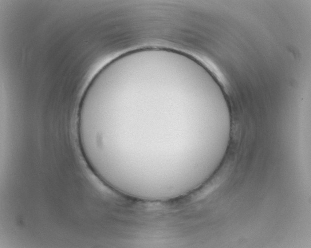 X0000115300903200911231307