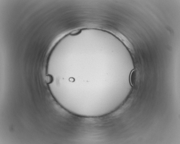 X0000115300904200911231307