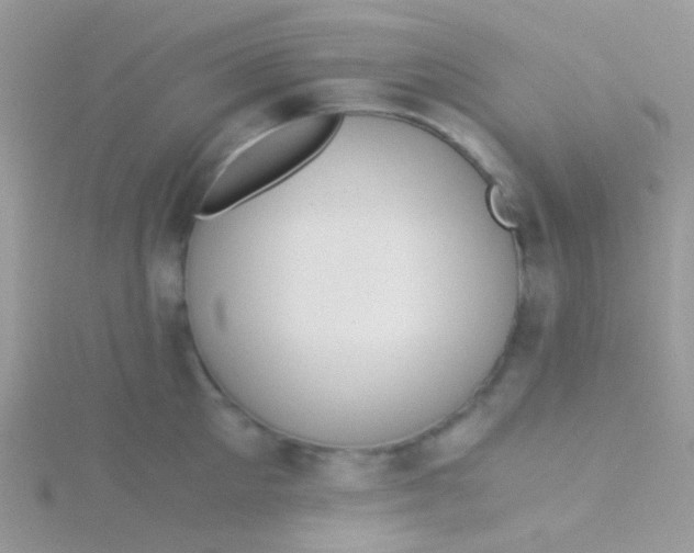 X0000115300905200911231307