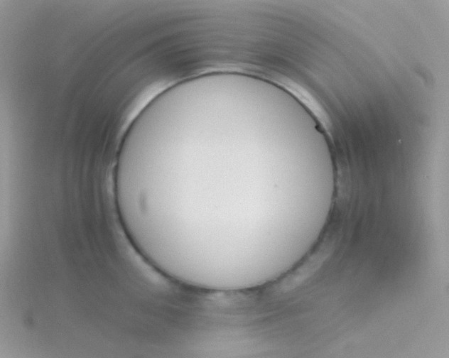 X0000115300906200911231306