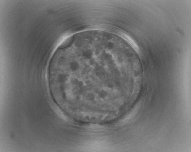 X0000115300907200911231306