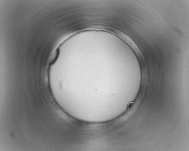 X0000115300908200911231306