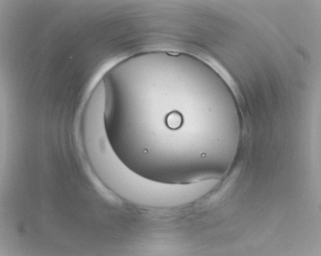 X0000115300909200911231306