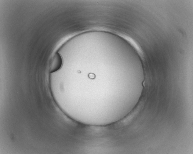 X0000115300910200911231306