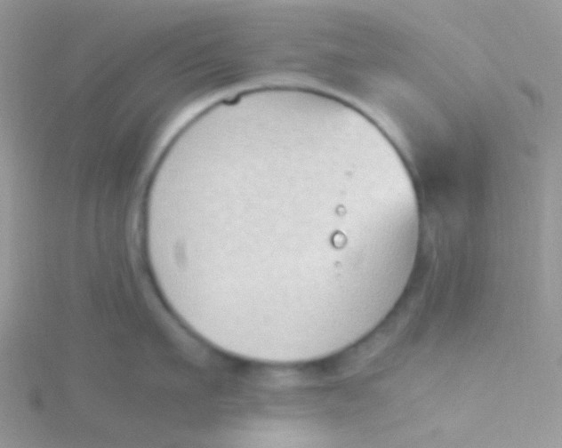 X0000115300911200911231306