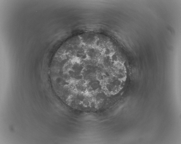 X0000115300913200911231306