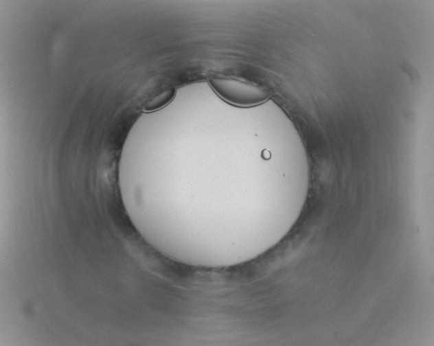 X0000115300914200911231306