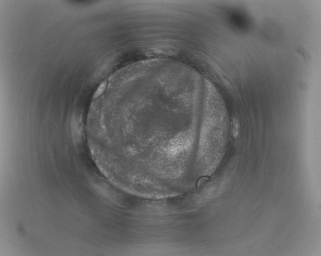 X0000115300915200911231306