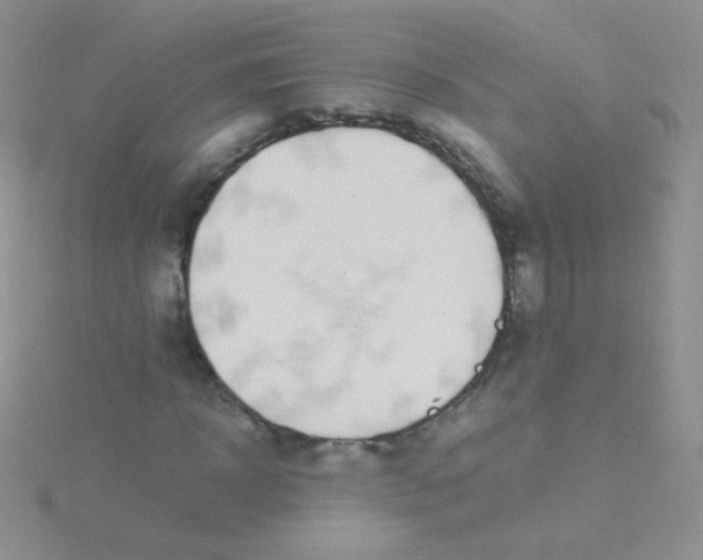 X0000115300918200911231306