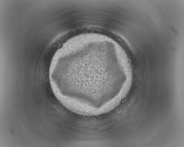 X0000115300919200911231306