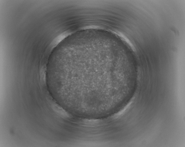 X0000115300921200911231306