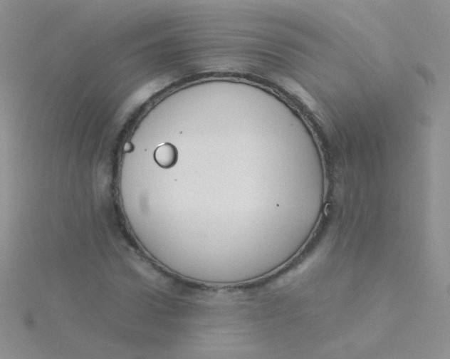 X0000115300922200911231306