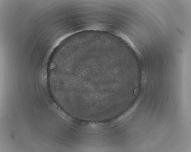 X0000115300923200911231306