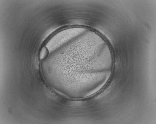 X0000115300925200911231306