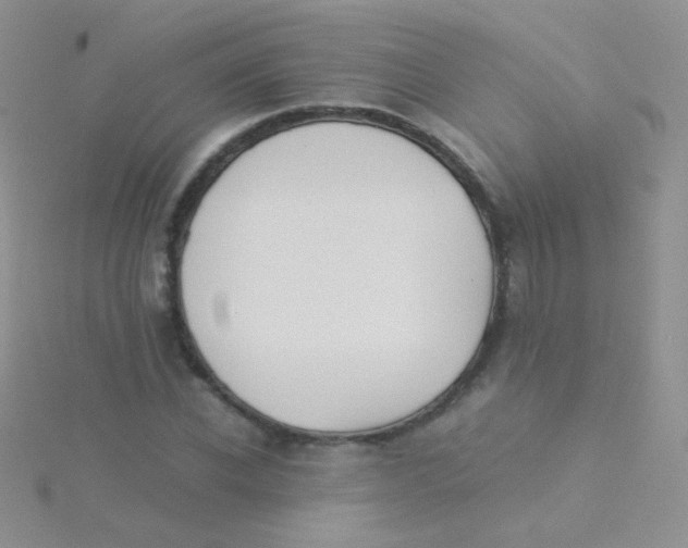 X0000115300926200911231306