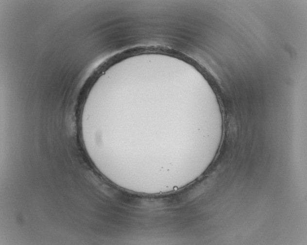 X0000115300927200911231306