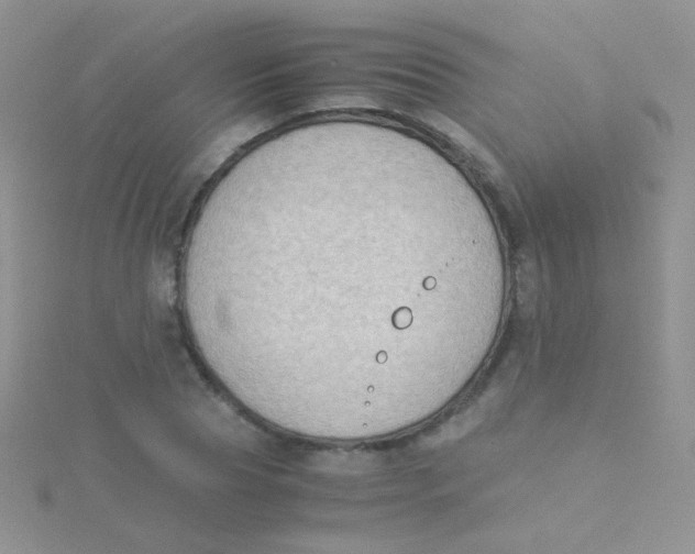 X0000115300929200911231306