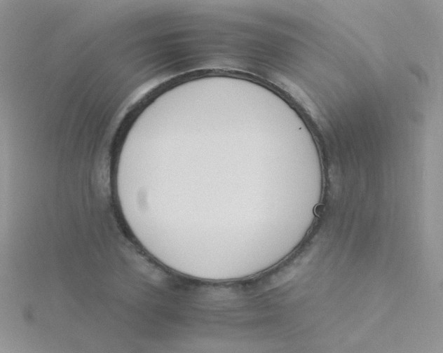 X0000115300931200911231306