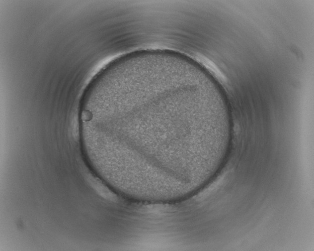 X0000115300934200911231306