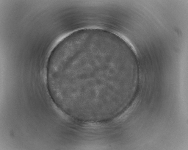 X0000115300935200911231306