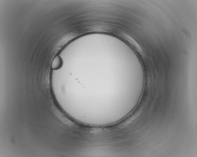 X0000115300938200911231306