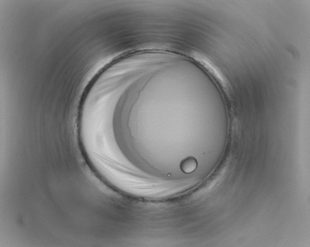 X0000115300941200911231306