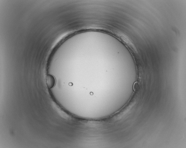 X0000115300942200911231306