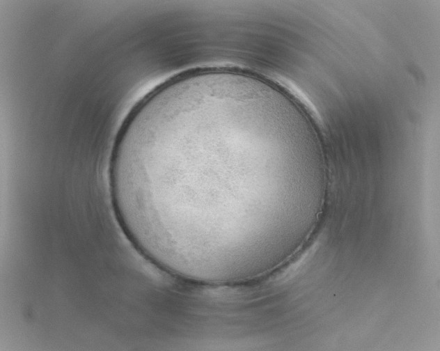 X0000115300943200911231306