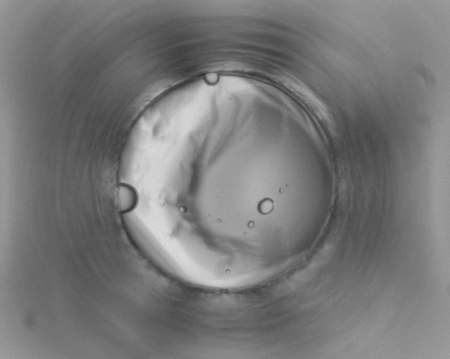 X0000115300945200911231306