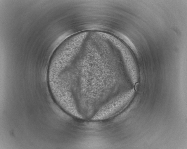 X0000115300946200911231306