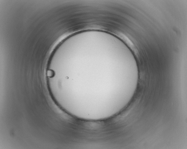 X0000115300947200911231306