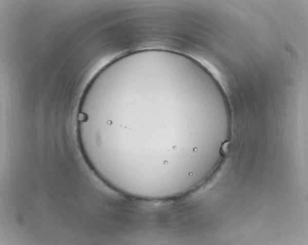 X0000115300949200911231306