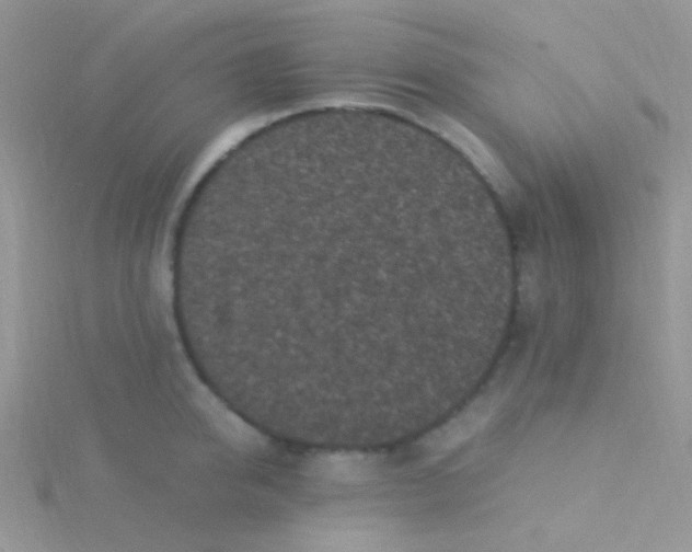 X0000115300950200911231306