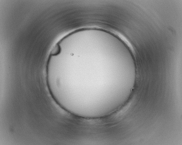 X0000115300951200911231306