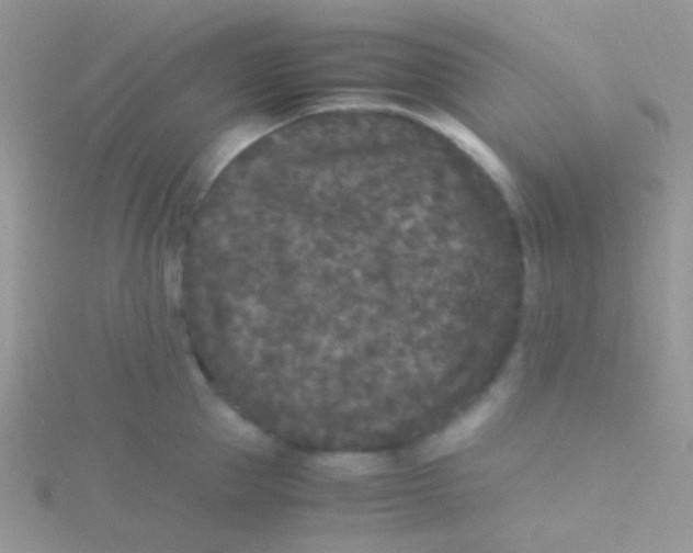 X0000115300953200911231306